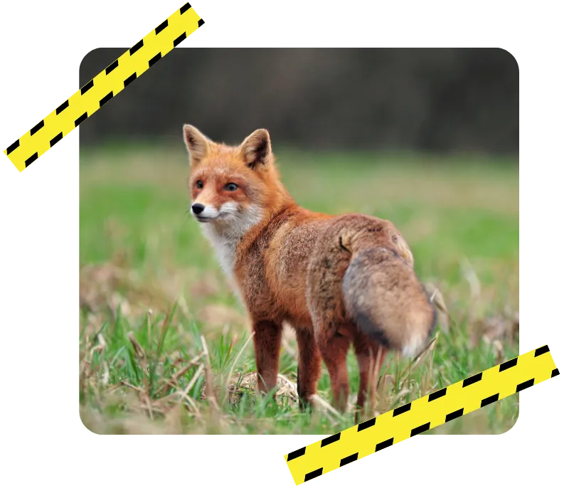 desinfection retiers