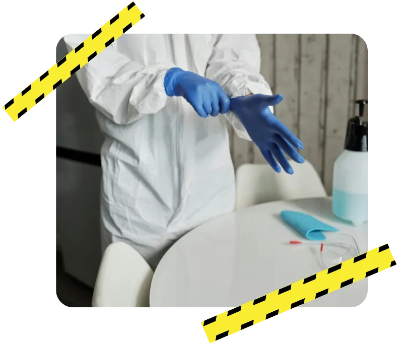 desinsectisation pouance