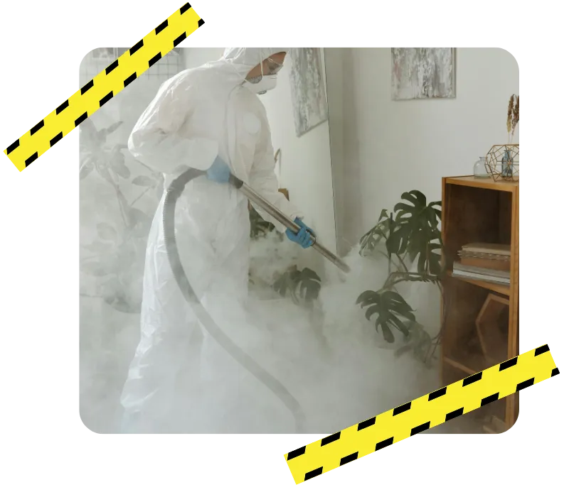 destruction nid de guepe chateau gontier